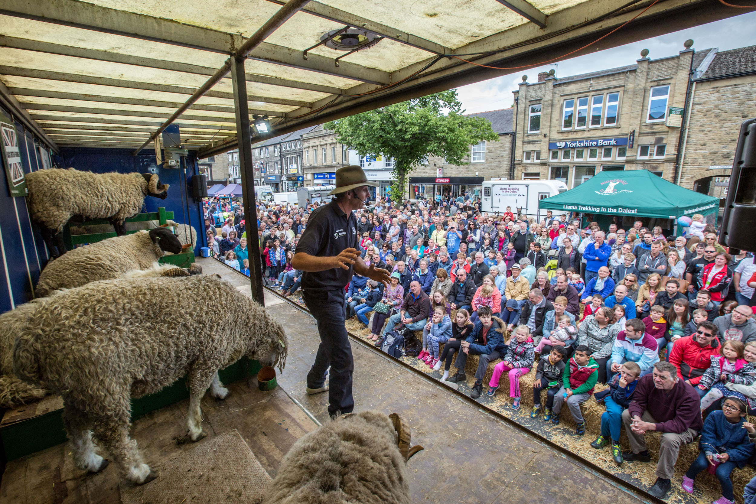 Sheep Day to Skipton